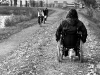Bez názvu (Hana Merunková )